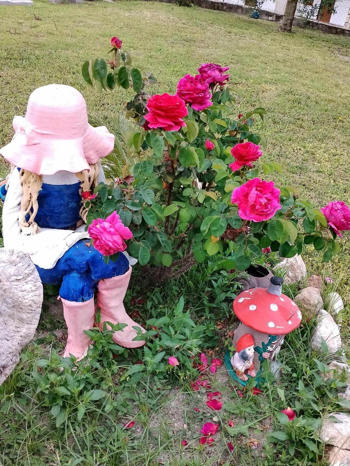Alexandra'S Garden Paliouri Exterior foto