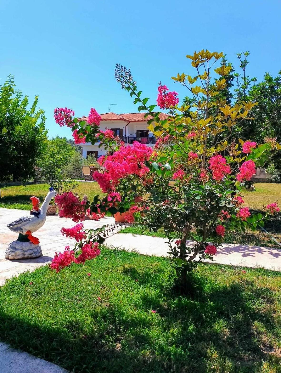 Alexandra'S Garden Paliouri Exterior foto
